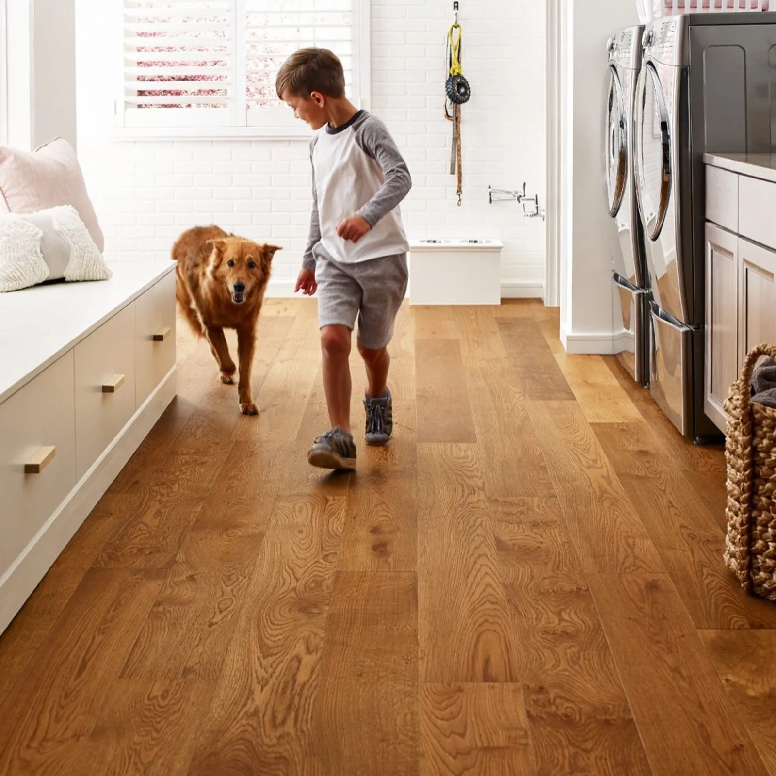 imgi_20_Birons2-1 imgi_20_Birons2-1